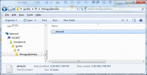 File Table in Windows Explorer